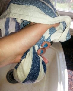 סוחטים את הקישואים